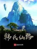 韩氏仙路主角功法介绍