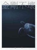 金刚不坏大寨主TXT
