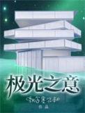 极光之意番外