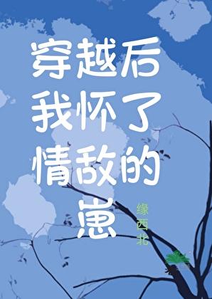 我怀了情敌的小崽子txt