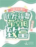 重生八零团宠福妻带空间致富 玖月禾