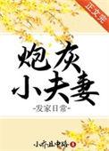 炮灰小夫妻发家日常全文