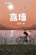 高墙天空 比利时