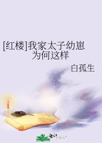 成了三个爱豆的经纪人txt