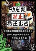 幼崽期禁止携汪出逃类似