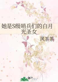 她是s级哨兵们的白月光圣女全文