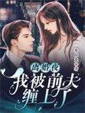 离婚后我被前夫缠上