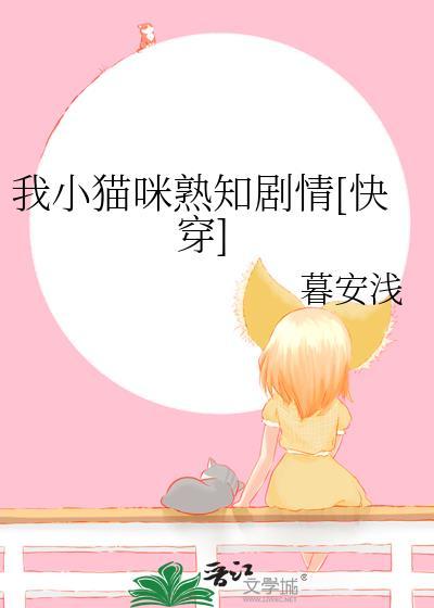 我小猫猫的图片