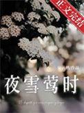 夜雪这首诗怎么读?