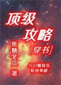 顶级攻略穿书焦糖冬瓜txt