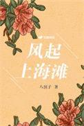 风起上海滩张少帅结局