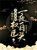 她死后冷冰冰的权臣一夜白头百度