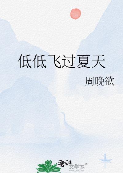 低低飞过夏天全文