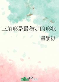 三角形是最稳定的形状墨黎初晋江