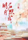 明月照我还前一句