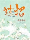 过招关电影
