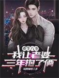 重生八零我让老婆三年抱了俩完本