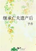 继承亡夫遗产后41