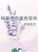 科举使我富贵荣华女主是谁