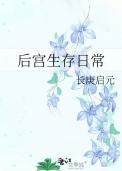 后宫生存法则1攻略