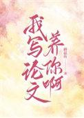 我写的论文表情包
