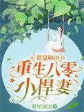 重生八零带着崽崽赶海狐独将至