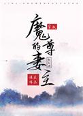 穿成了魔尊的妻主怎么办 作者风月独见全文免费阅读