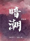 暗潮缉凶哪个台