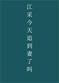 江采今年追到妻了吗讲了什么