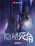 隐秘死角精校版