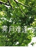 霁月难逢在线阅读