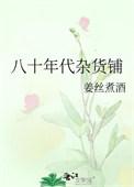 八十年代杂货铺重生传奇