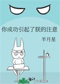你成功引起了我的注意!