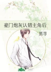 豪门炮灰文