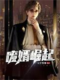 废婿的辉煌人生