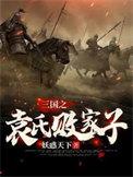 三国之袁家再兴
