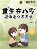 重生八零攻略硬汉老公