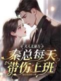 秦总每天带伤上班短剧免费观看