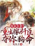 重生宠妾福孕
