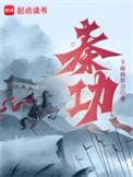 秦功笔趣阁无弹窗免费阅读