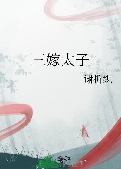 三嫁王妃全本免费阅读