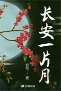 长安一片月全诗楷书作品