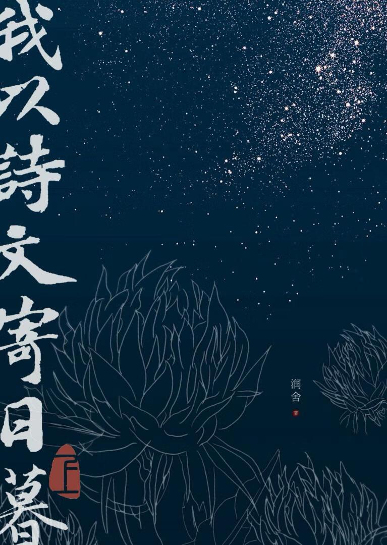我以诗文寄日暮百度