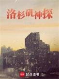 洛杉矶神探作者的