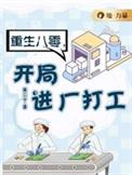 重生八零开公司