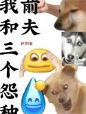 我和三个怨种前夫新笔趣阁