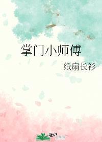 掌门小师傅之八零年代