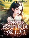 重回八零当军嫂被纯情硬汉宠上天TXT