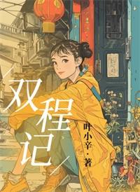 双程记讲的什么