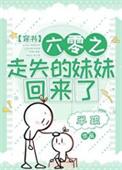 六零之走失的妹妹回来了作者半疏